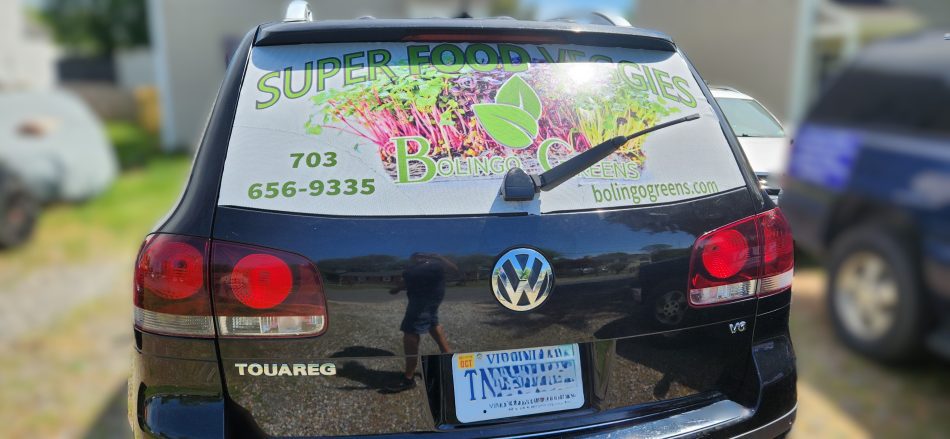Vehicle Glass Lettering